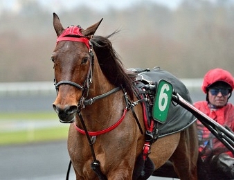Bold Eagle a été nettement battu à Cagnes-sur-Mer