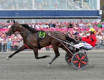Bold Eagle a gagné un rang dans l'Elitloppet 2017