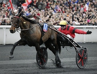Bold Eagle a réalisé le doublé à l'occasion du Grand Prix d'Amérique 2017