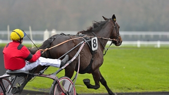 Bold Eagle a remporté le Prix Jockey, 