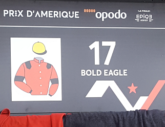 Bold Eagle a remporté son deuxième Prix d'Amérique