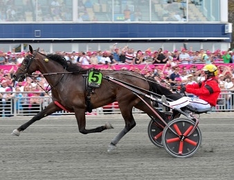 Bold Eagle a terminé quatrième de l'Elitloppet 2017