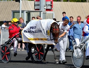 Bold Eagle devrait courir encore deux fois avant le Prix d'Amérique 2020