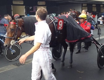 Bold Eagle en route pour le Prix René Ballière