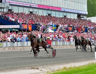 Bold Eagle est au départ du Prix René Ballière disputé ce dimanche 24 juin à Vincennes