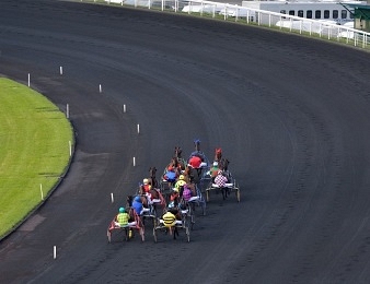 Bold Eagle est invaincu sur les 2700 mètres de la grande piste de Vincennes