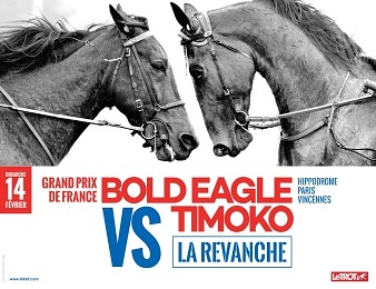 Bold Eagle et Timoko prêts pour la revanche