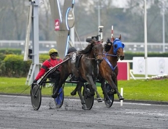 Bold Eagle et Timoko se retrouvent