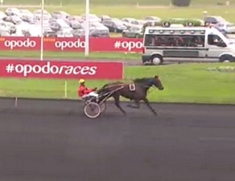 Bold Eagle lors de sa victoire dans le Prix Octave Douesnel