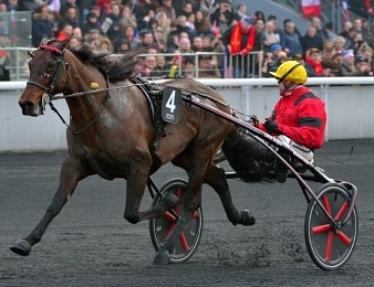 Bold Eagle n'a encore jamais couru à Enghien