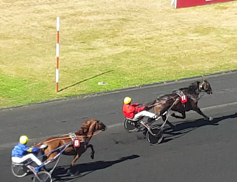 Bold Eagle réalise le doublé Prix d'Amérique - Critérium des 5 ans