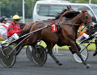 Bold Eagle remporte le Prix des Sables-d'Olonne