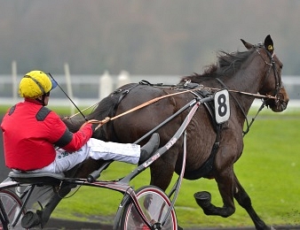 Bold Eagle renoue avec le succès