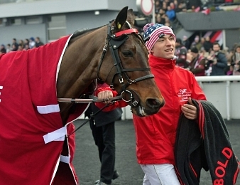 Bold Eagle rentre dans le Grand Prix de Bretagne ce dimanche 19 novembre à Vincennes