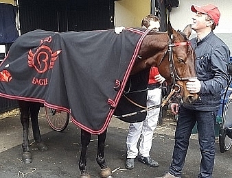 Bold Eagle rentrera dans le Prix Louis Jariel le 11 juin à Vincennes
