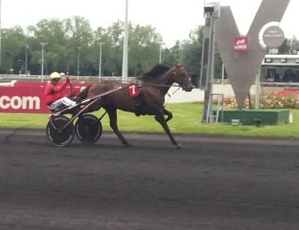 Bold Eagle s'offre son 7ème Groupe I