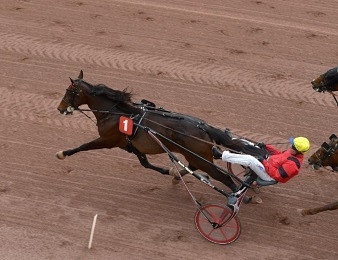 Bold Eagle sera associé pour la première fois à Björn Goop