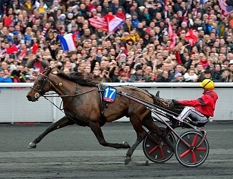 Bold Eagle sera au départ du Grand Prix de France ce dimanche 11 février à Vincennes