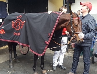 Bold Eagle sur les traces de Bellino II ?