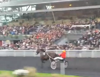 Bold Eagle triomphe dans le Belgique et file vers le Grand Prix d'Amérique