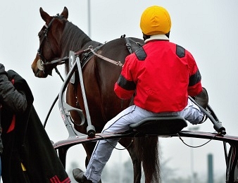 Bold Eagle va tenter de retenir son titre dans le Grand Prix d'Amérique