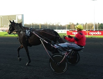 Bold Eagle vise la Triple Couronne