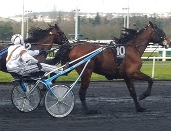 Boléro Love s'impose dans le Prix de Sélection ce dimanche 18 septembre à Vincennes