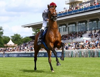 Brametot n'a pas été confirmé sa victoire du Prix du Jockey Club