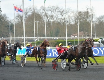 Briac Dark a seulement été battu par Bold Eagle dans l'édition 2017 du Grand Prix de Paris