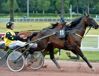 Briac Dark effectuait sa rentrée ce mercredi 22 novembre à Mons (Belgique)