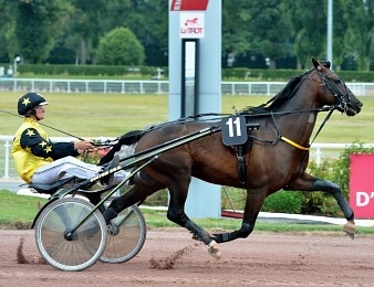 Briac Dark est absent depuis neuf mois