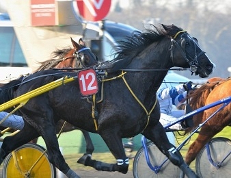 Brissac était son champion
