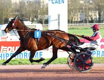 Bugsy Malone remporte le quinté du jour sur l'hippodrome d'Angers.