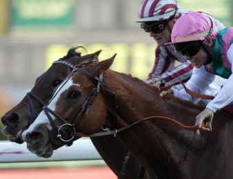 Byword et Cirrus des Aigles à la lutte