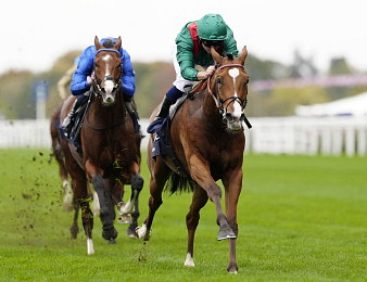 Calandagan defend son titre dans les Champion Stakes
