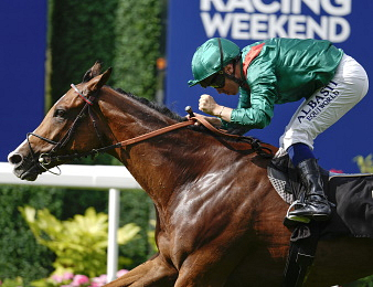 Calandagan s'impose dans le Grand Prix de Saint-Cloud ce dimanche 5 juillet.