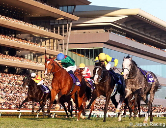 Calandagan triomphe dans la Japan Cup