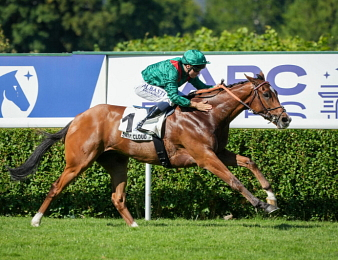 Calandagan triomphe dans le Grand Prix de Saint-Cloud