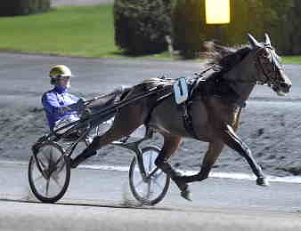 Calgary Games de retour en piste