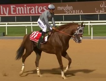 California Chrome s'impose dans la Dubaï World Cup 2016
