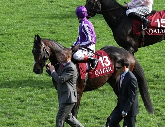 Camelot reste en lice pour le Prix de l'Arc de Triomphe 2013