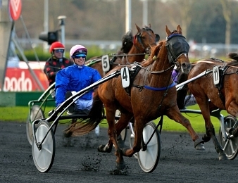Carat Williams sera au départ du Prix Marcel Laurent ce jeudi 9 novembre à Vincennes