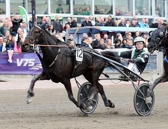 Cash Crowe remporte le Derbystoet ce dimanche 3 septembre en Suède
