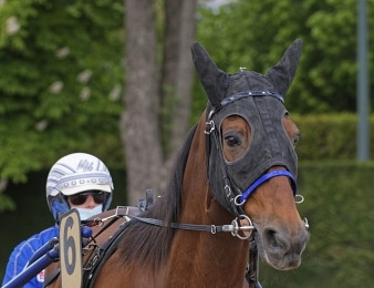 Ce Bello Romain triomphe en Finlande