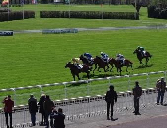Cheikeljack vainqueur du Prix Djebel