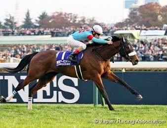 Christophe Lemaire entre dans l'histoire des courses au Japon