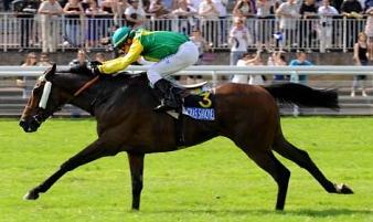 Christophe Pieux en selle sur Remember Rose