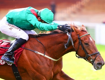 Christophe Soumillon en pleine course.