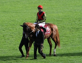 Christophe Soumillon ne montera pas Orfèvre