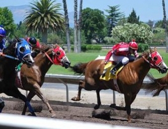 Cinq français sont engagés dans la Breeders' Cup 2014